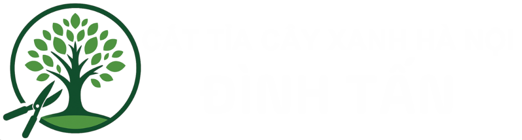 Đình Tấn – Dịch vụ cắt tỉa cây xanh Hà Nội 